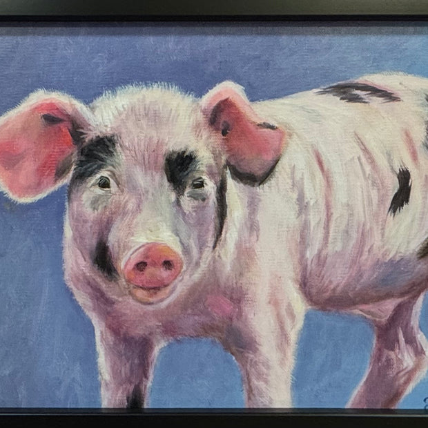 Curious Piglet - Pink Ears/Spots