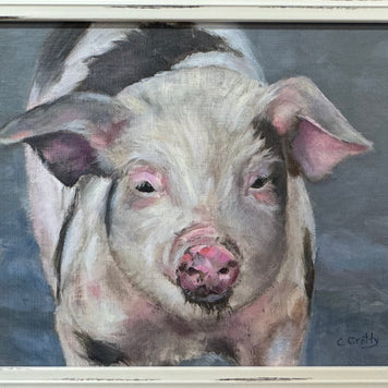 Watchful Pig in Mud