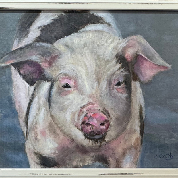 Watchful Pig in Mud