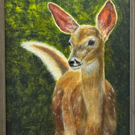 Sunlit Curiosity - Fawn