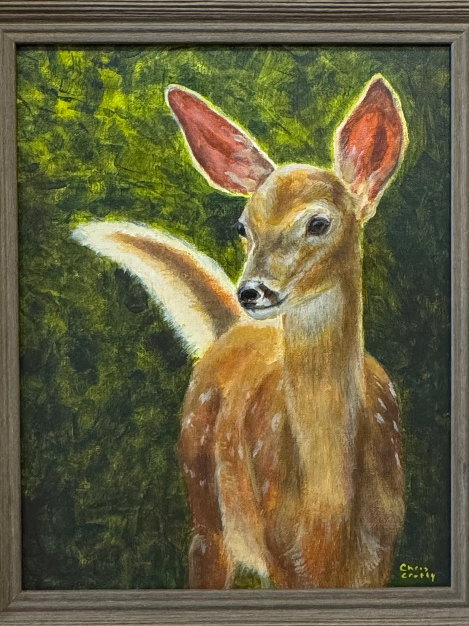 Sunlit Curiosity - Fawn