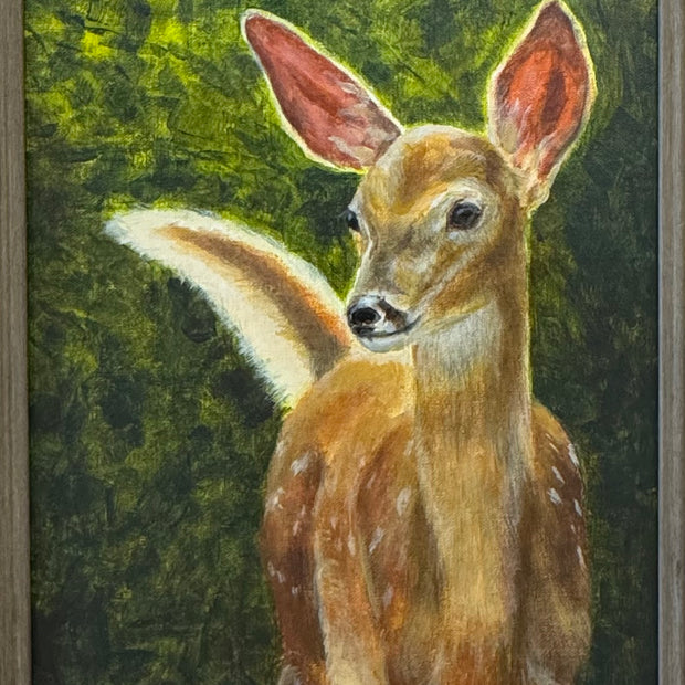 Sunlit Curiosity - Fawn