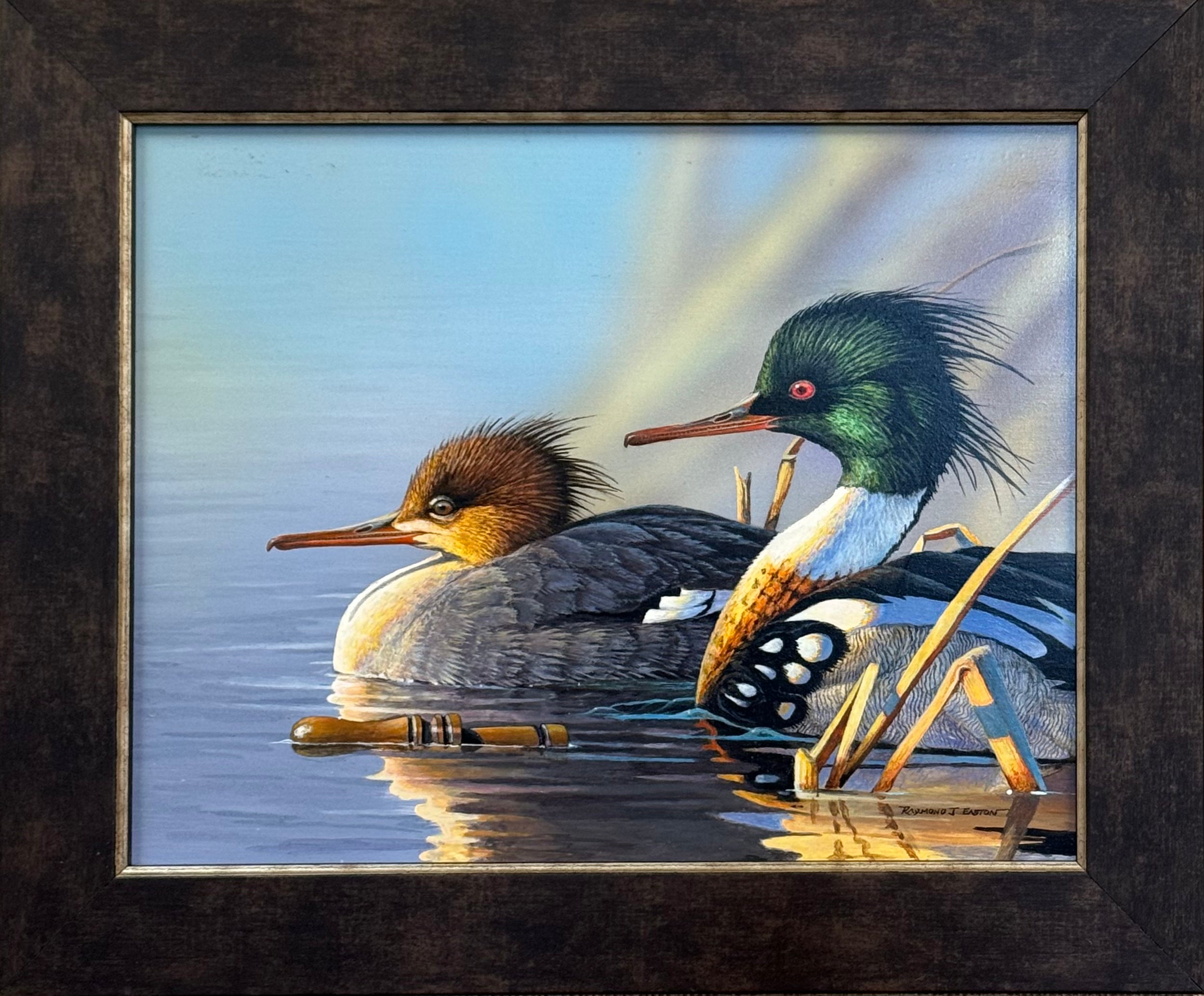 Red-Breasted Mergangers