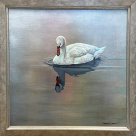 Refuge Reflections
