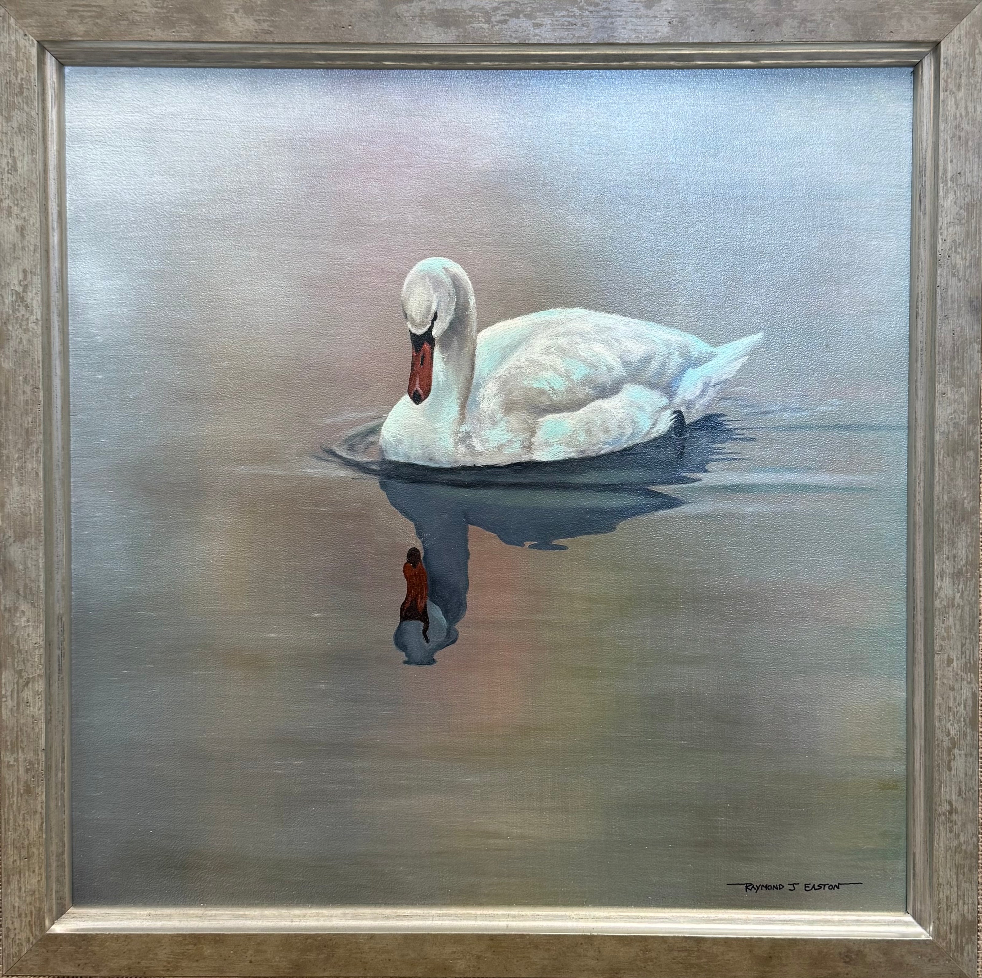 Refuge Reflections