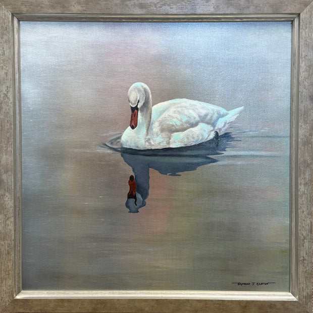 Refuge Reflections