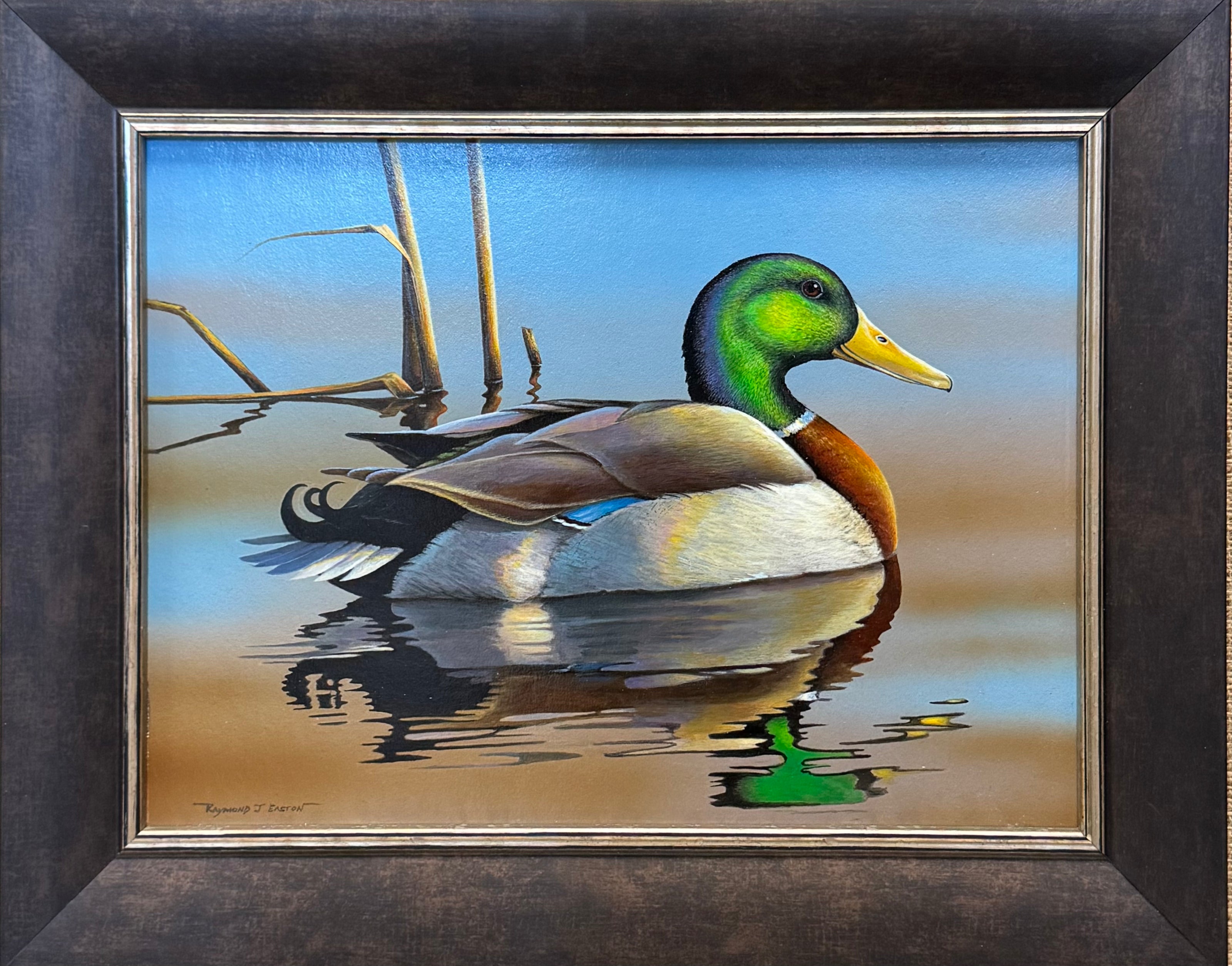Mallard