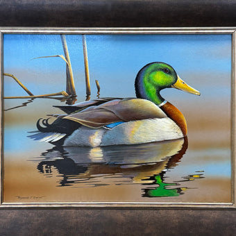Mallard