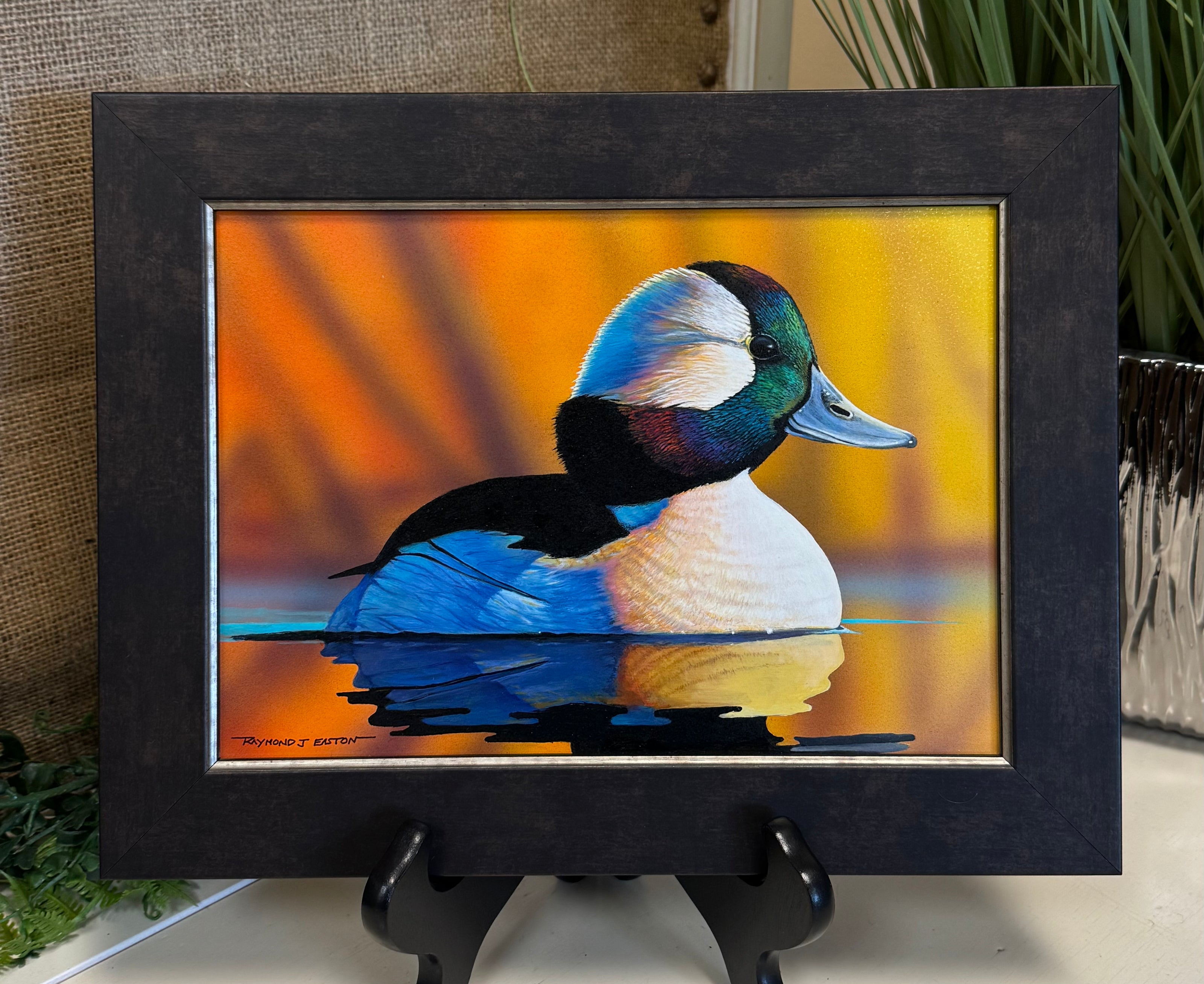 Bufflehead