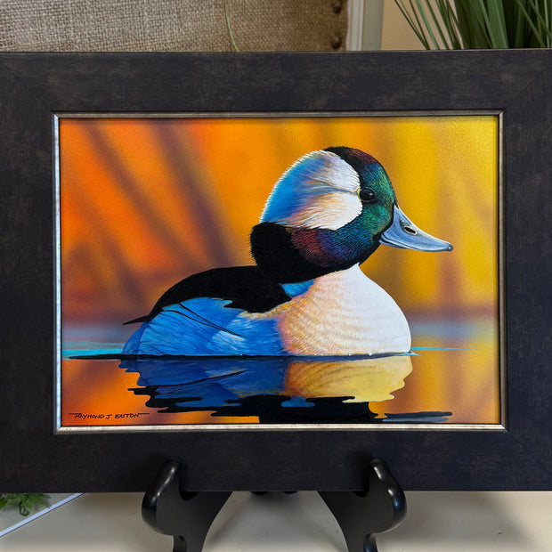 Bufflehead