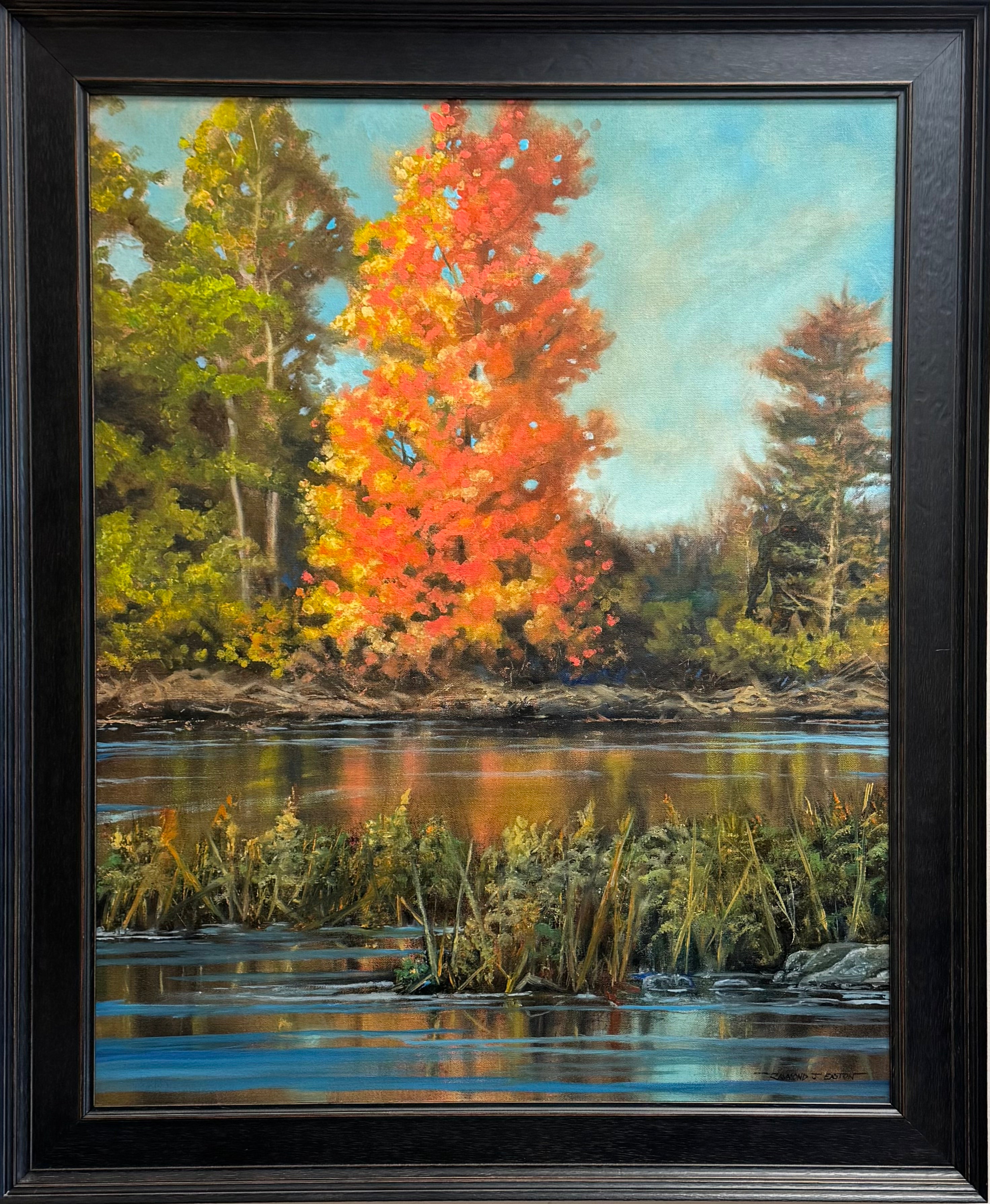 Autumn on Boggy Creek