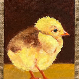 Yellow Chick #1