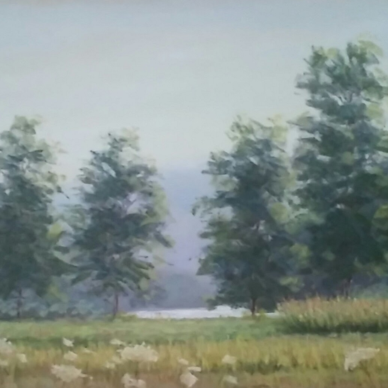 Hunter Island in Summer