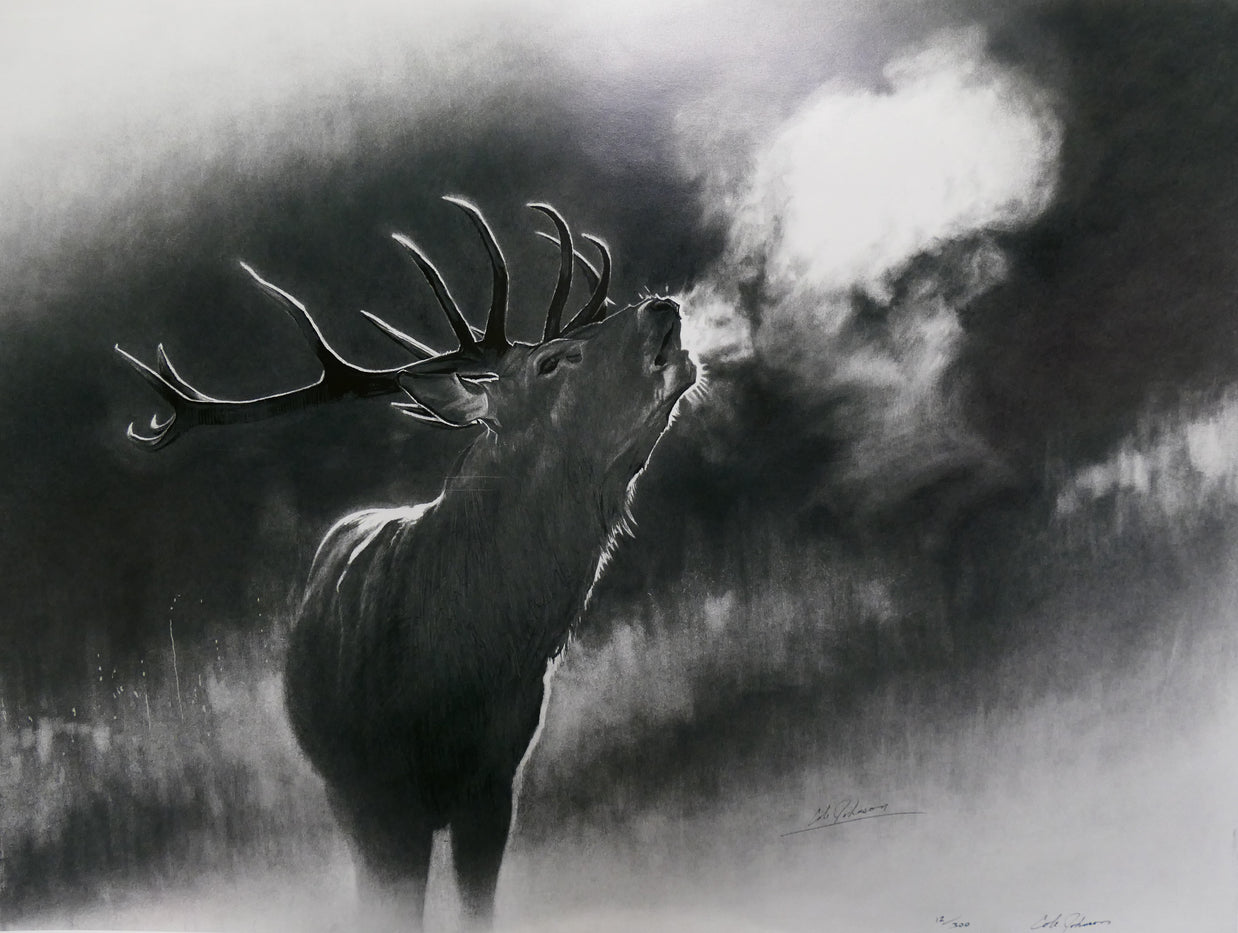 Red Stag AP