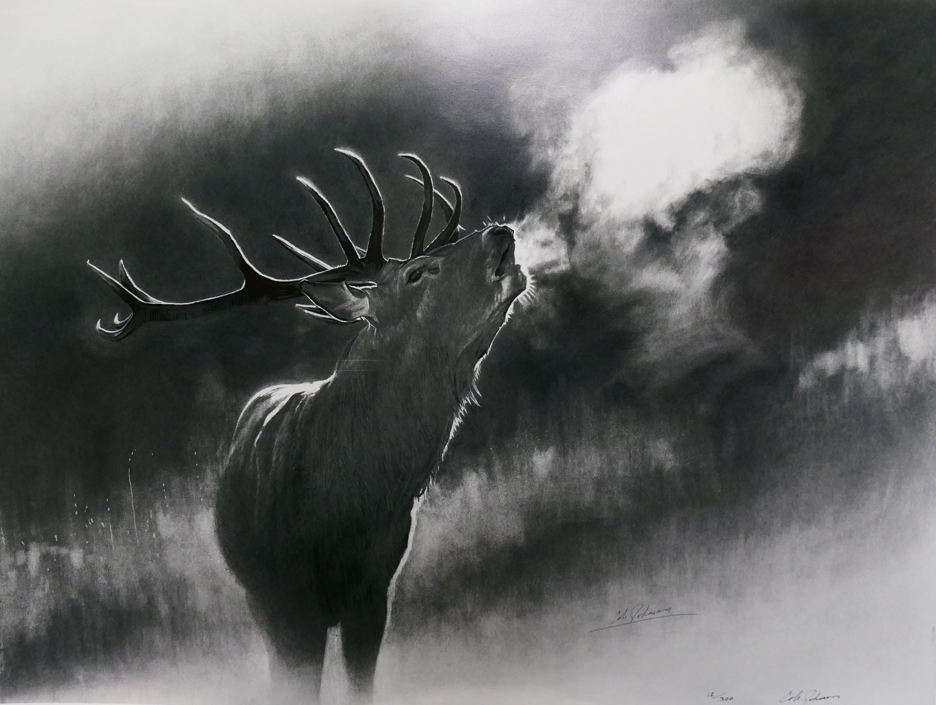 Red Stag AP