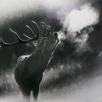 Red Stag AP