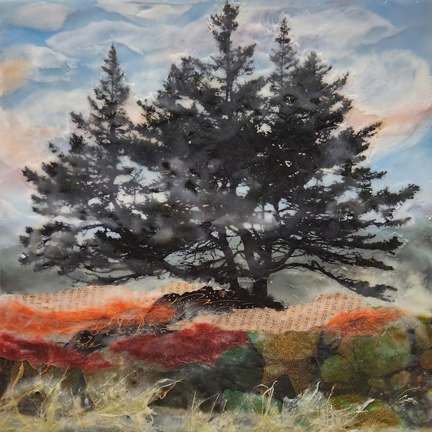 Pine Trio