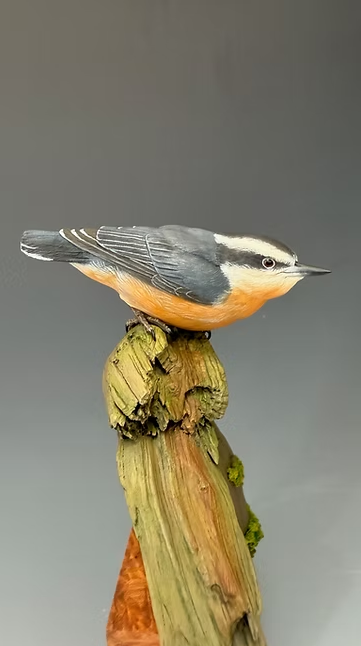 Red-Breasted Nuthatch