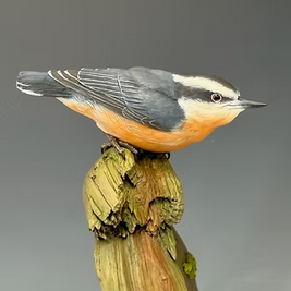Red-Breasted Nuthatch