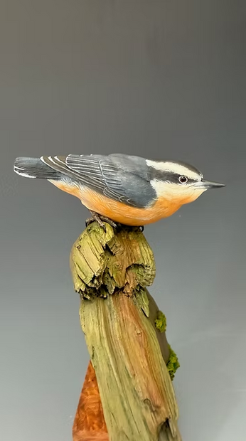 Red-Breasted Nuthatch