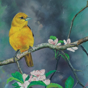 Mrs. Oriole | Original