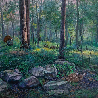 Spring Forest 6/200