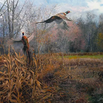 Busted Flush 127/150