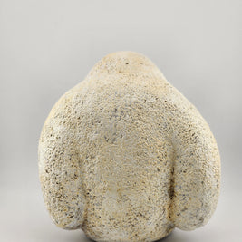 White & Black Gibbons