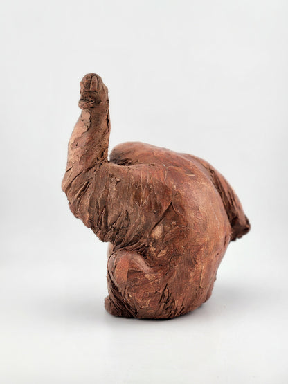 Orangutan