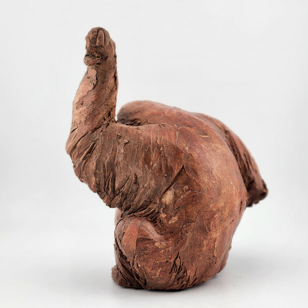 Orangutan