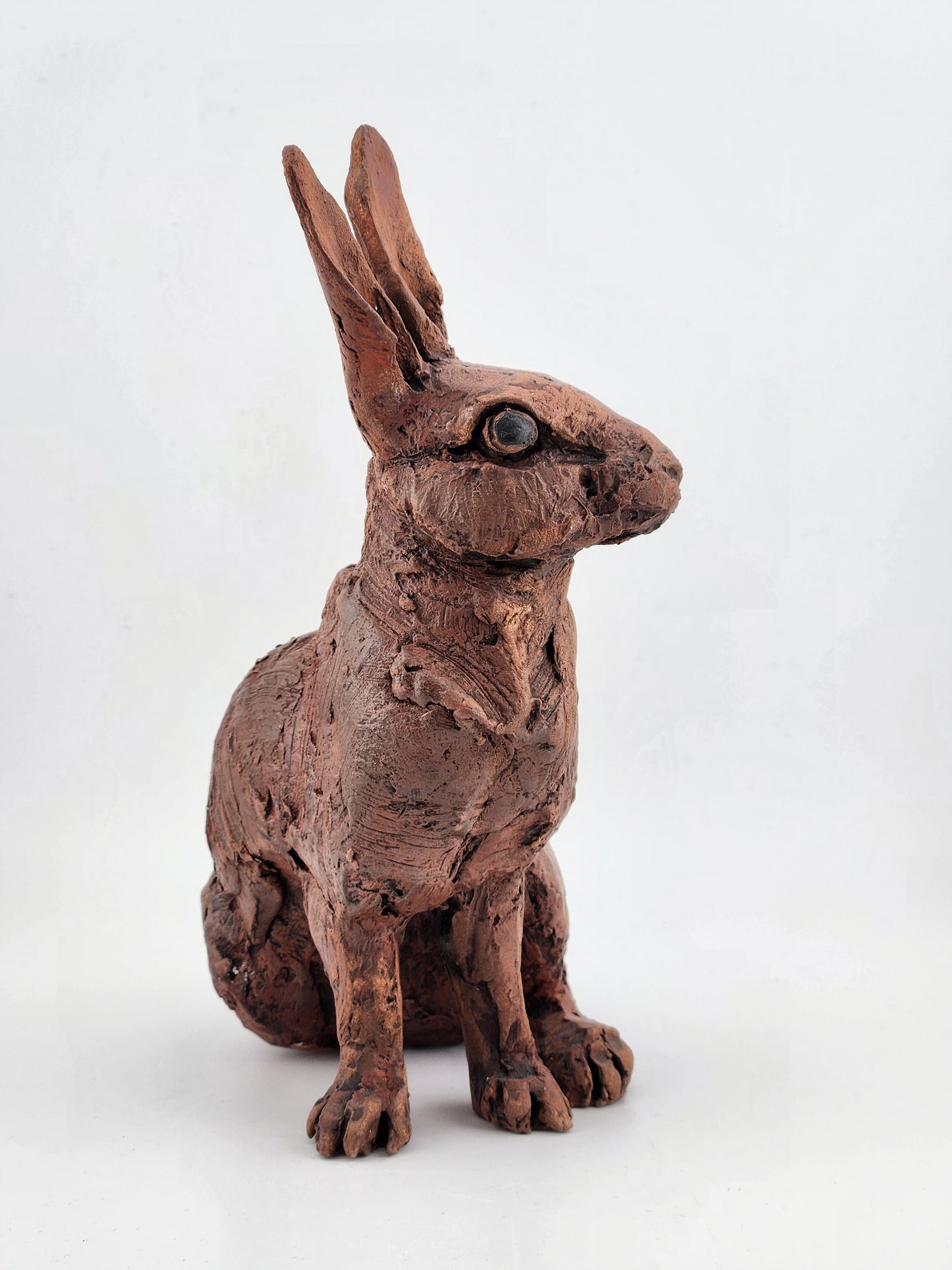 Sitting Rabbit