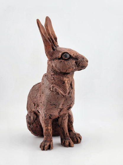 Sitting Rabbit