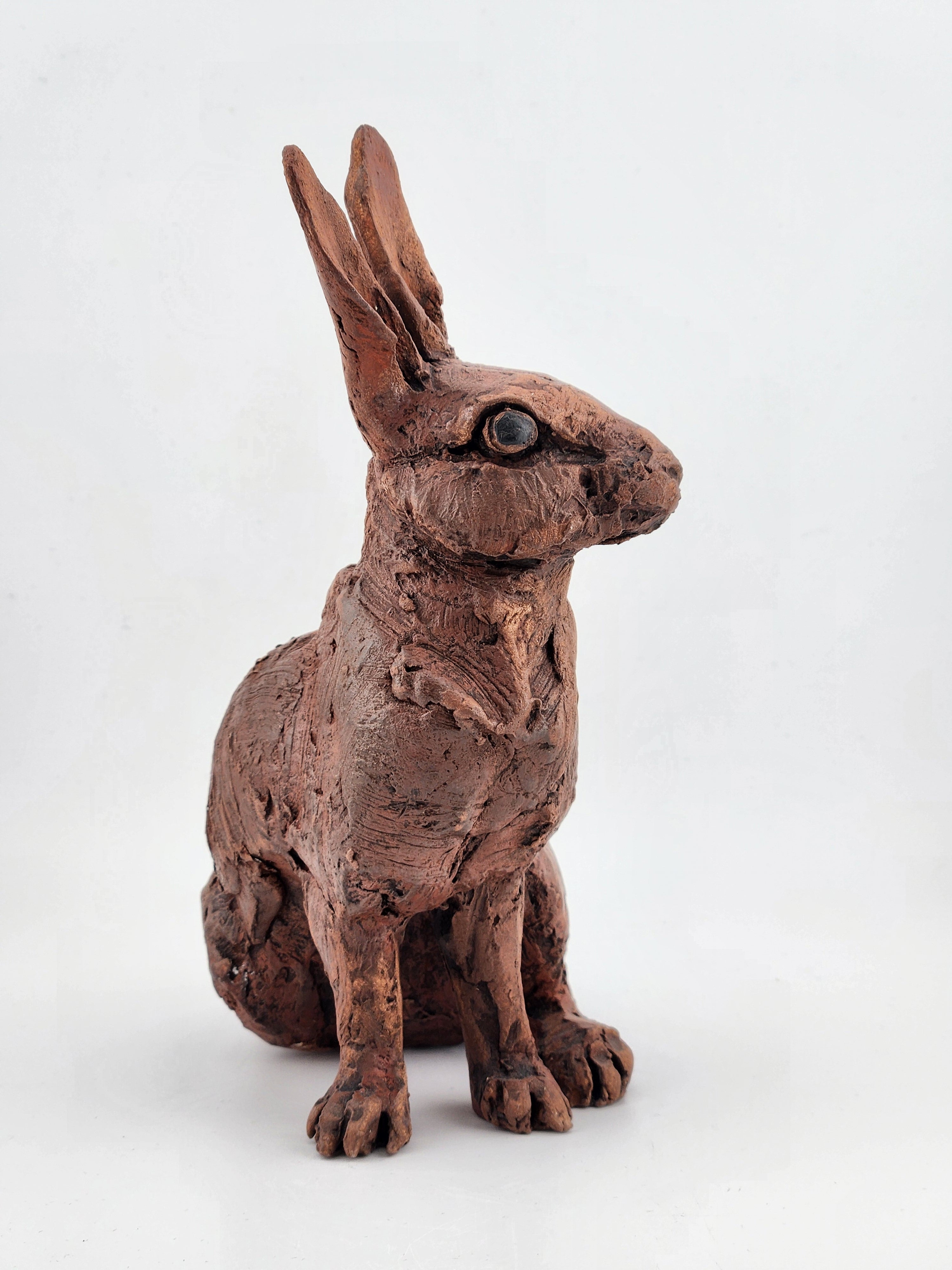 Sitting Rabbit