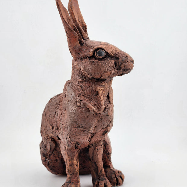 Sitting Rabbit