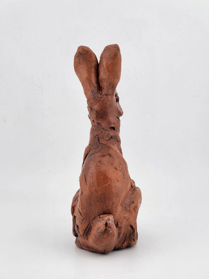Small Rabbit
