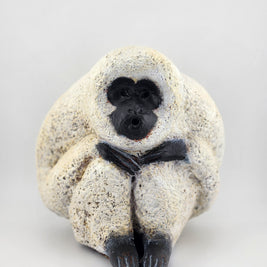 White & Black Gibbons