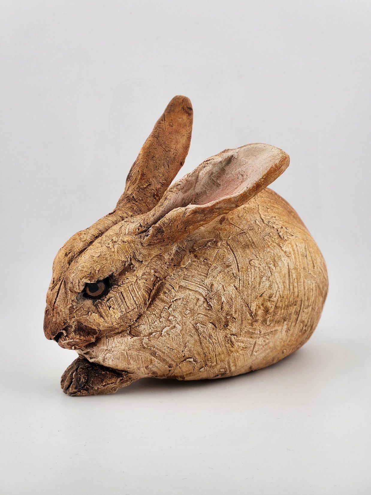 Rabbits