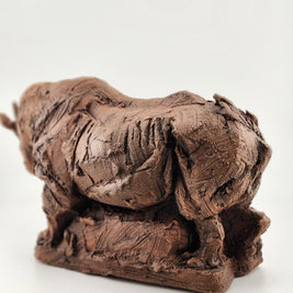 Rhino