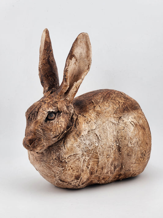 Rabbits
