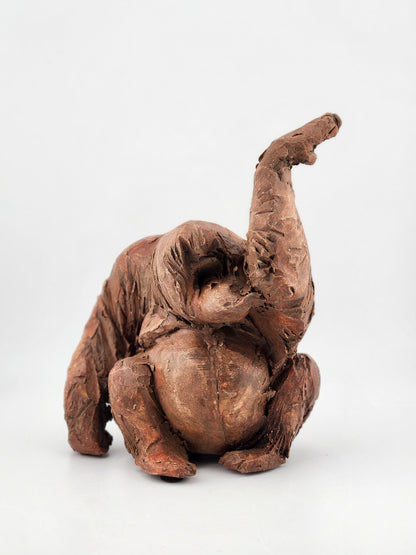 Orangutan