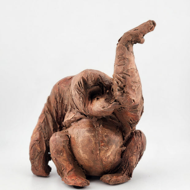 Orangutan