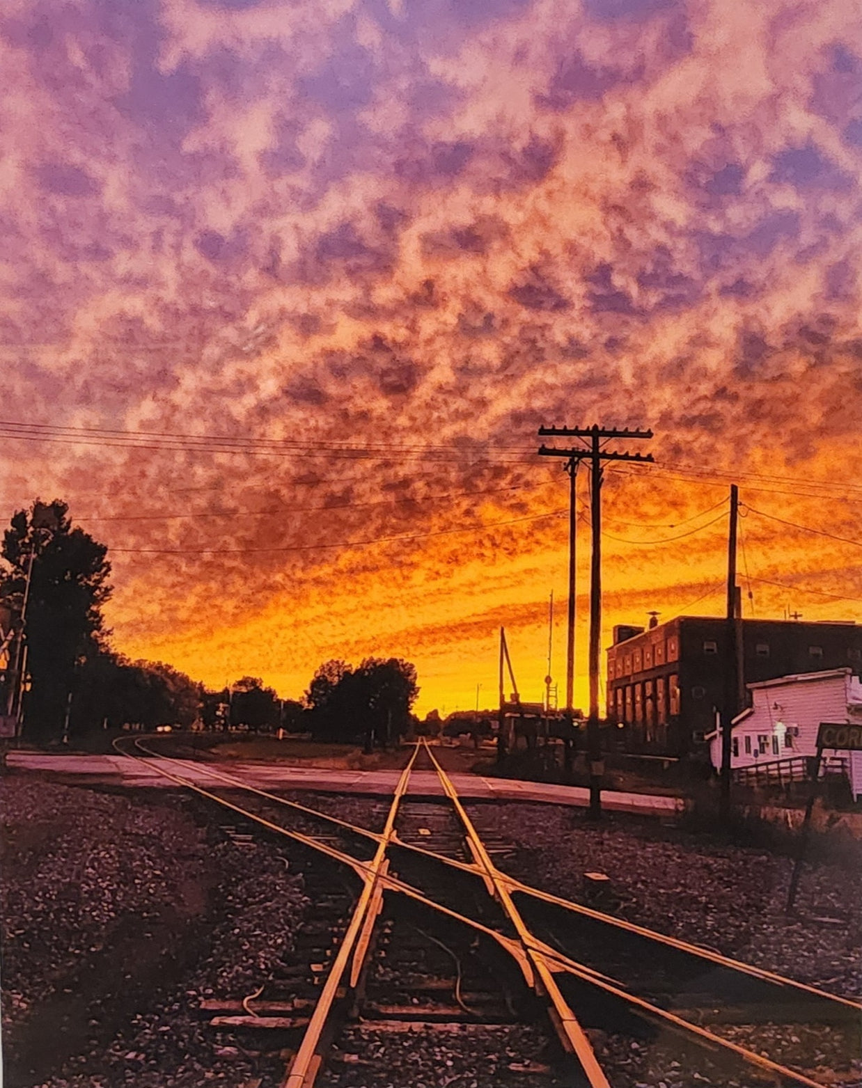 Corry Diamond at Sunset