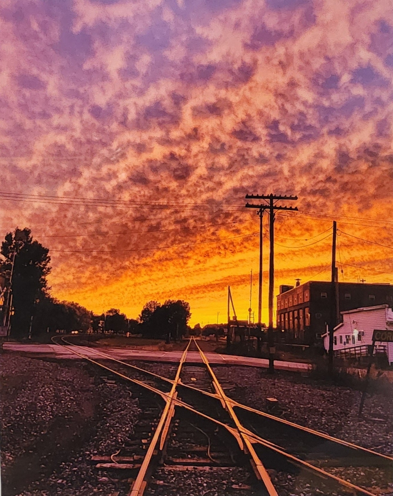 Corry Diamond at Sunset