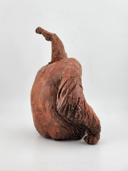Orangutan