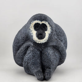 White & Black Gibbons