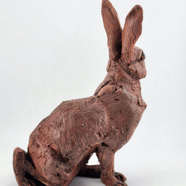 Sitting Rabbit