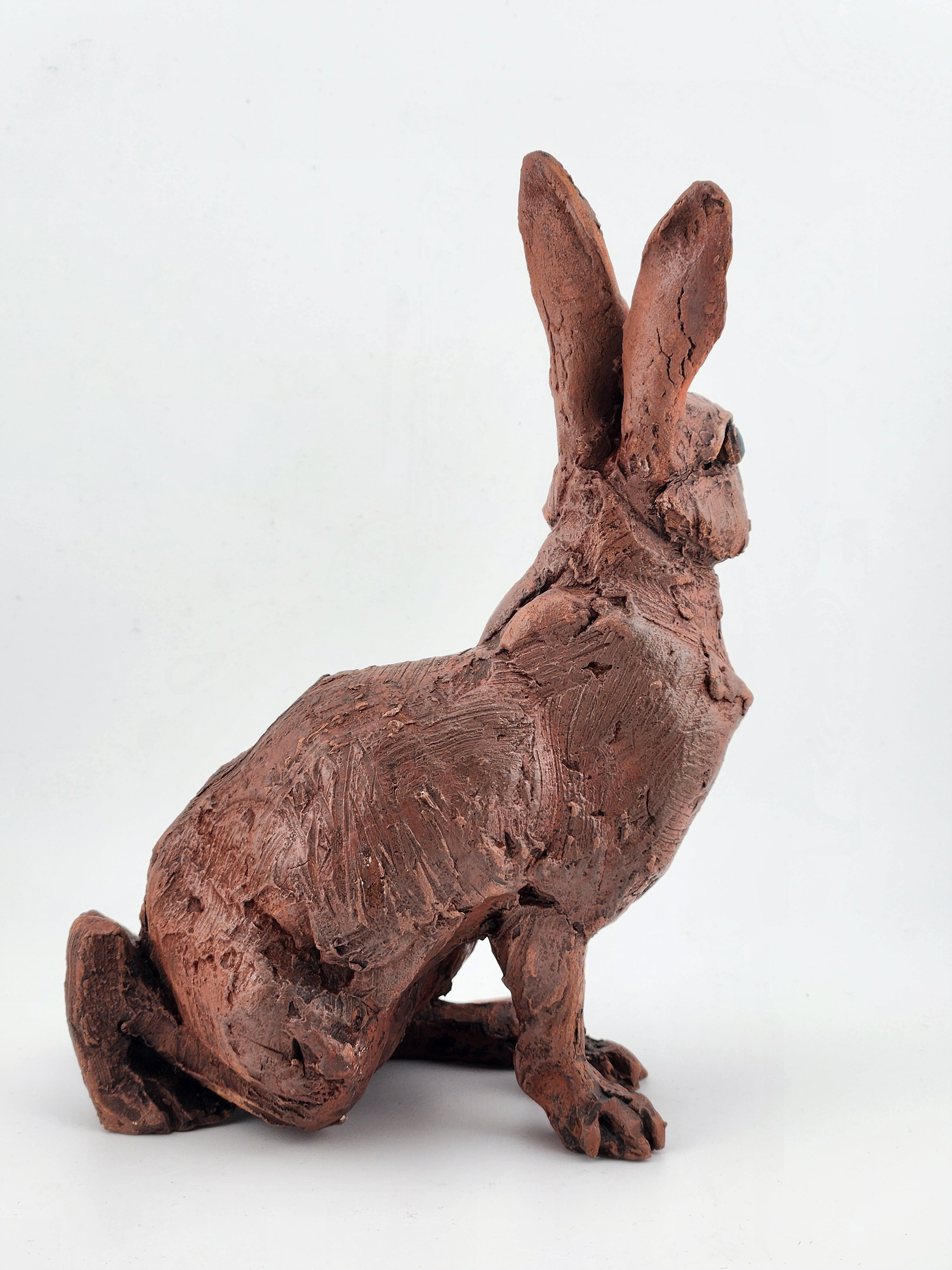 Sitting Rabbit