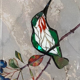 Hummingbird on Blueberry Twig