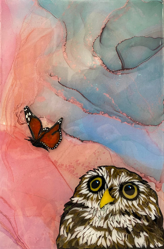 Amy Hahn's Owl and Butterfly