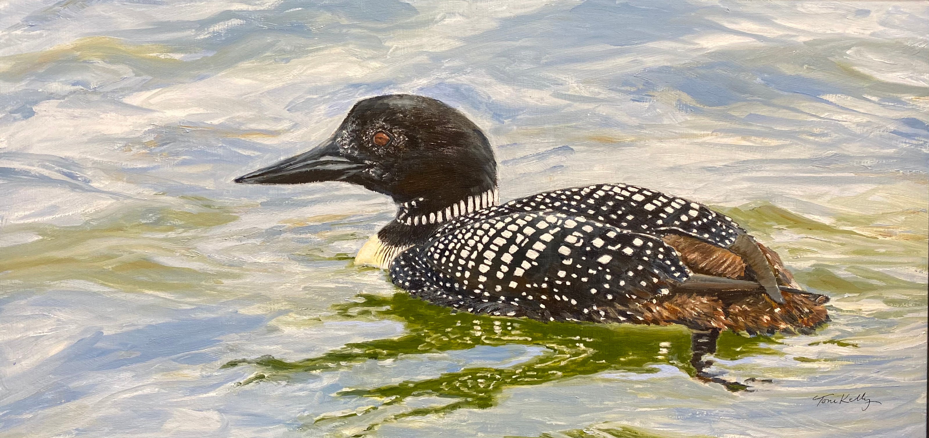 Common Loon